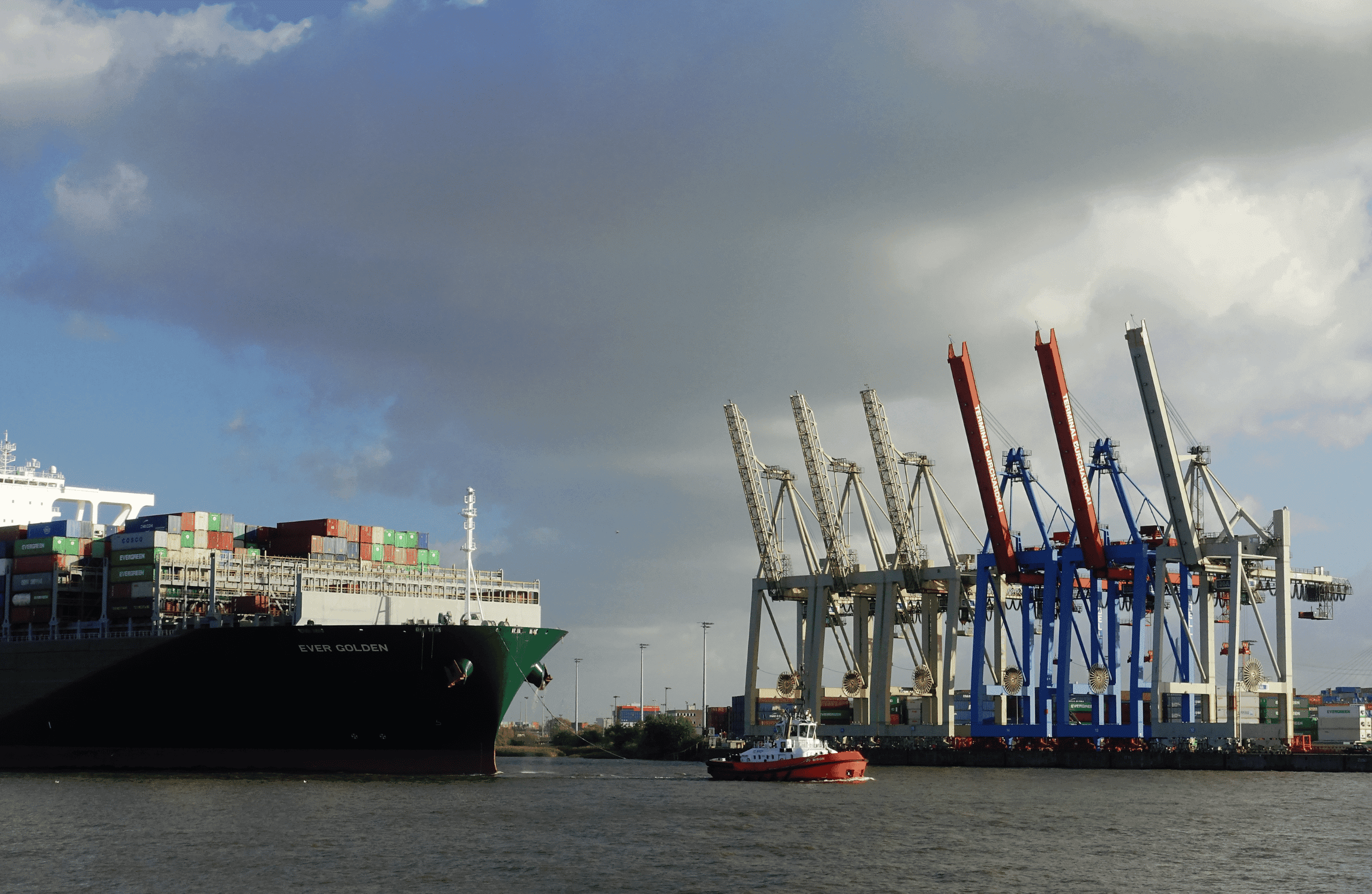 Top Freight Shipping Services in Ontario | How Businesses in Milton Can Save Time and Costs